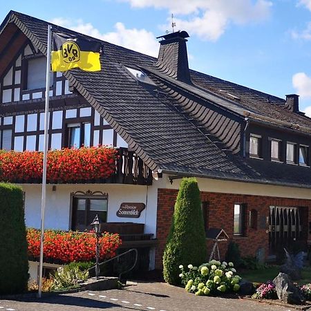 Pension Sonnenblick Winterberg Exteriör bild